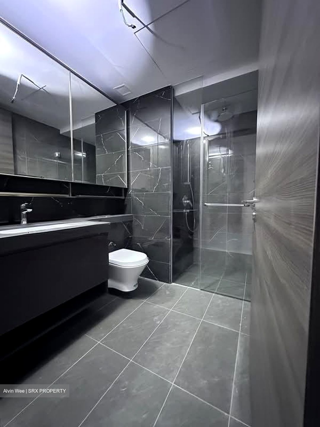 The Florence Residences (D19), Apartment #566557051